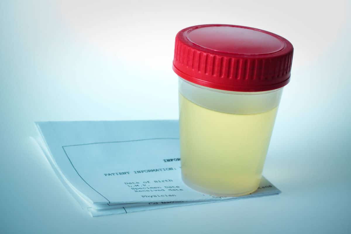 Med-Lake Lab Q3 2025 Newsletter